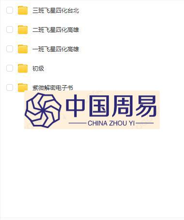 陈明业 紫微飞星四化初级+进阶视频+文档