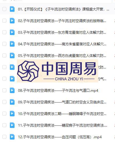 王哲  子午流注时空调疾术视频23集