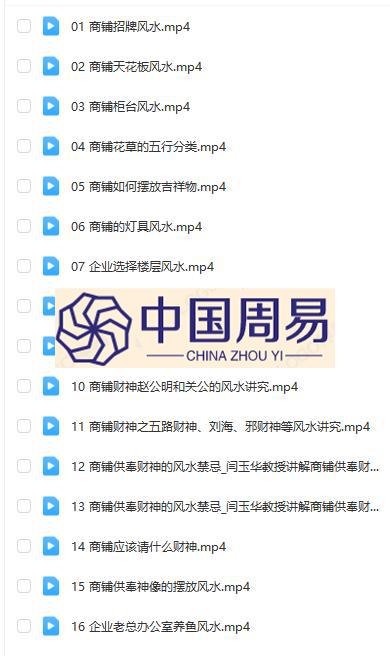 闫玉华 企业商铺风水视频16集
