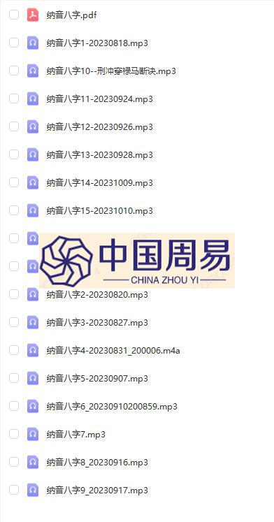 李林升纳音八字 录音17集+文档