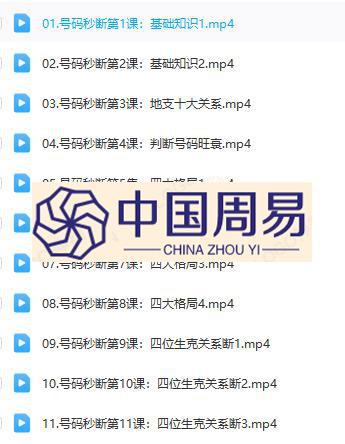 吴九龙《号码秒断弟子技法班》视频21集