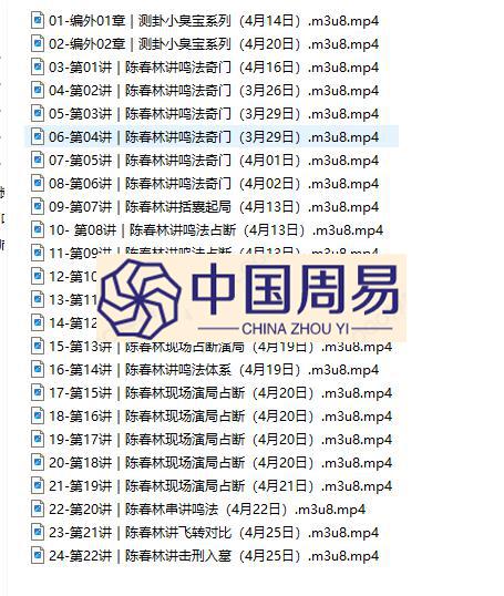 陈春林 鸣法奇门视频24集