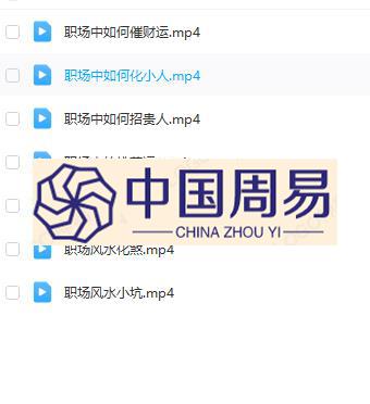 山雨   职场风水（高级）视频7集